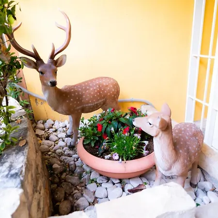 Le Dodici Marie Bed & Breakfast Alatri